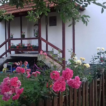 Apartment Dil Kulen Vakuf Luaran gambar